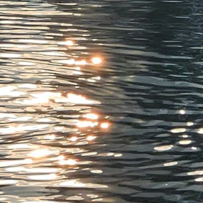 springfxxl's profile picture. 🎸🌊