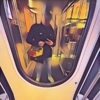 L✌🏻 (@_lina0231) 's Twitter Profile Photo L✌🏻 (@_lina0231) 's Twitter Profile Photo