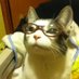 hypermaculata (@hypermaculata) Twitter profile photo hypermaculata (@hypermaculata) Twitter profile photo