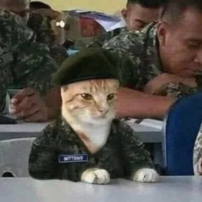 MushIsHugo's profile picture. Best Vayne/ Kaisa / LATAM Apostador deportivo NBA-NFL-MLB y el deporte más bello ⚽️//MX