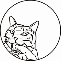 死にゲーと戦う絶対死にたくないおじさん　どるゥさんのプロフィール画像
