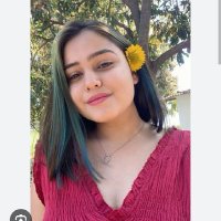 RochakVibes💡 (@rochakvibes) 's Twitter Profile