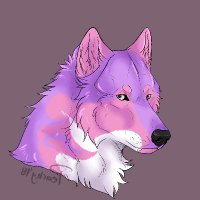 Kati 🐺 privat/ AD (@sevatila) 's Twitter Profile