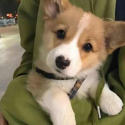 jiuhaoh68970378's profile picture. 