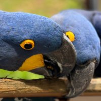 ReevU | Buying skins 95% (@reevucsgo) 's Twitter Profile Photo