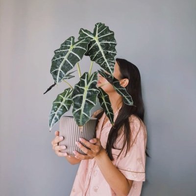 Resetroutine's profile picture. 