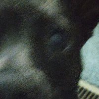 J T (@jtkdh1) 's Twitter Profile