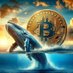 The whale Crypto (@whaleexpert01) Twitter profile photo The whale Crypto (@whaleexpert01) Twitter profile photo