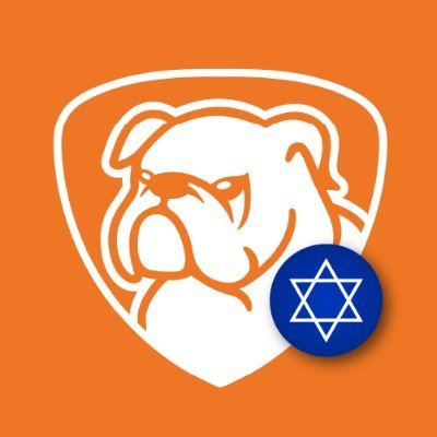 Febrick145317's profile picture. bull run 🐂