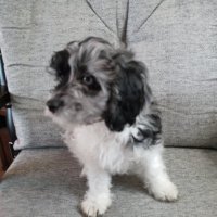 Kevin Byers (@kevinlbyers) 's Twitter Profile