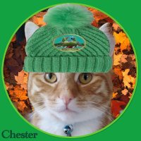 Cathy and Chester (@cathyandchester) 's Twitter Profile Photo Cathy and Chester (@cathyandchester) 's Twitter Profile Photo