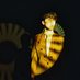 Declan McKenna (@declanmckenna) Twitter profile photo Declan McKenna (@declanmckenna) Twitter profile photo