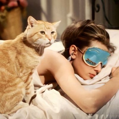 borderschizo's profile picture. 