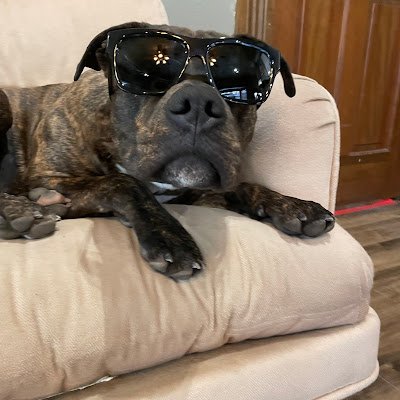 Snowboarder/Holistic/HempCBD sales/Auto Guru/ Free/Straight/Male/No DMs from bots, No Cyber War. USA before Ukraine All Day.
https://t.co/hnePKPPYWu
