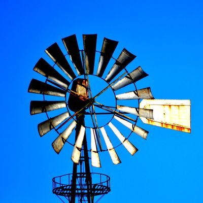 alxalmeida's profile picture. fuck jazz