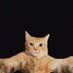 Prabu (@oioioitikus) Twitter profile photo Prabu (@oioioitikus) Twitter profile photo