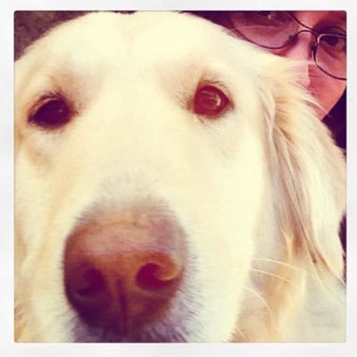 veronicareveco's profile picture. Chilena y zurda #adoptanocompres ❤️rock, nu metal , grunge ❤️🐈🐈‍⬛🐩🐕🦮🐕‍🦺, mamá 🩷💙🏋️‍♀️✌🏻