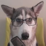 fixfis (@fixfis_) 's Twitter Profile