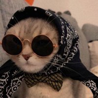 berna (@bernalkaan) Twitter profile photo