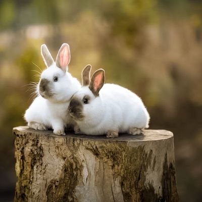 DlowFaze's profile picture. 