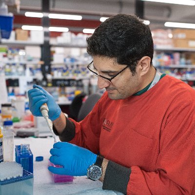 PhD student at Australian Regenerative Medicine Institute @ARMI_Labs. MSc of Human Genetics @TMuTehran