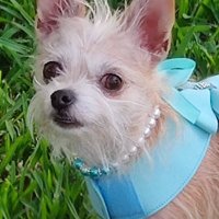 JanisO (@josb77) 's Twitter Profile