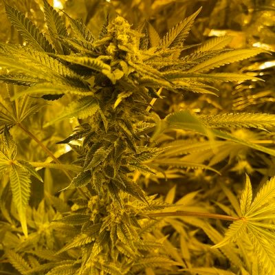 Nicky9ns's profile picture. 