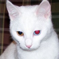thali (@222alterego) 's Twitter Profile