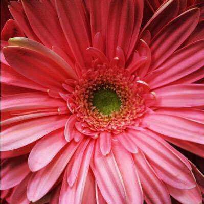 XO_BB_XO's profile picture. “We move in the light. We slow in the shadows. We stop in the dark.” #Darker - E.L. James. Lover of Villains and all things 🖤