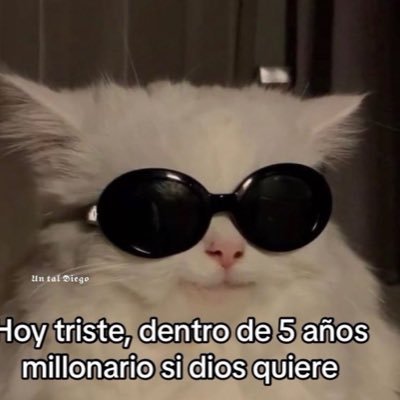 No al¡neado , sin lím¡tes | Slowcube | παιδεία | Biels¡sta Arangu¡sta