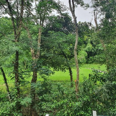 daieloiha's profile picture. 🚀🌟  lfg!