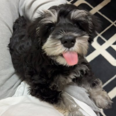 Anck_1130's profile picture. 福岡市内住みのホークスのファンです。 松田宣浩後援会にも入ってます。 倖田來未とソナポケ大好き。