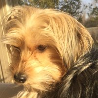 AnnaRight (@annalee27737029) 's Twitter Profile