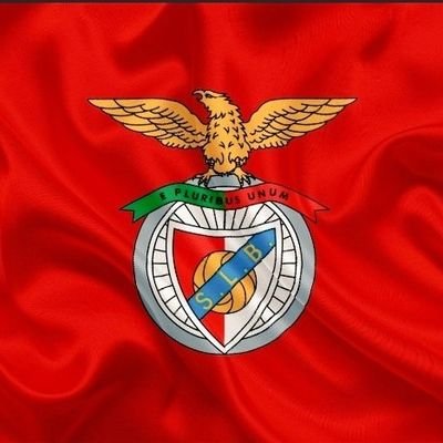 slbde80's profile picture. ..