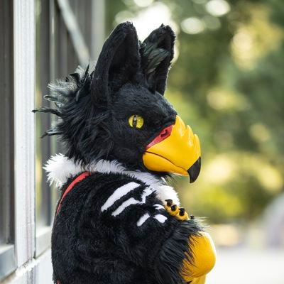 The Friendly Black Gryphy! ^v^
He/Him
ΘΔ
18+ Only
Occasionally NSFW
Feelin Chirpy? https://t.co/r12pofjg2t