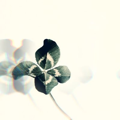 INI_Santaji's profile picture. INI❤︎❤︎❤︎大人MINI🫧田島将吾くん🧸😬🔋みんな大好き🎁🐻‍❄️😊📗RP ♡多め How are you🔗https://t.co/8Jc2cfXm57 🤓