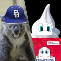 柏 原 (@kashi_cd7) 's Twitter Profile Photo 柏 原 (@kashi_cd7) 's Twitter Profile Photo