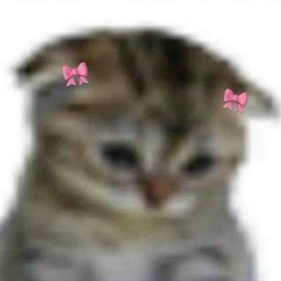 Kira_20208's profile picture. 