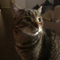 Mags (@mags0214) 's Twitter Profile Photo Mags (@mags0214) 's Twitter Profile Photo