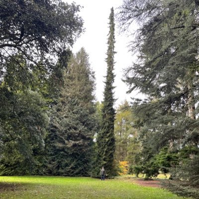 KE365's profile picture. bff with @Support_Monkey