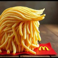 MAGA Fries (@andrew_eve34249) 's Twitter Profile