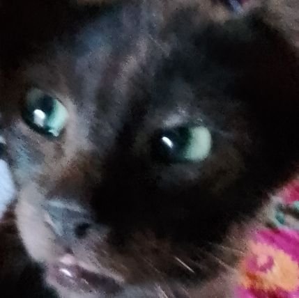 Lais52852's profile picture. 