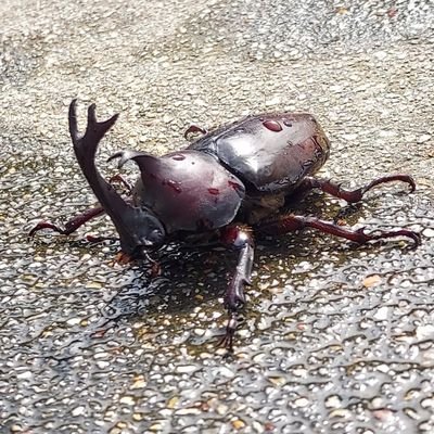 _kake3ra_'s profile picture. 