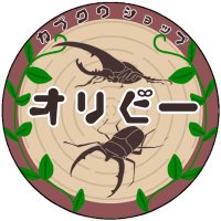 Orybee(オリビー) (@medakakabuto) 's Twitter Profile Photo Orybee(オリビー) (@medakakabuto) 's Twitter Profile Photo