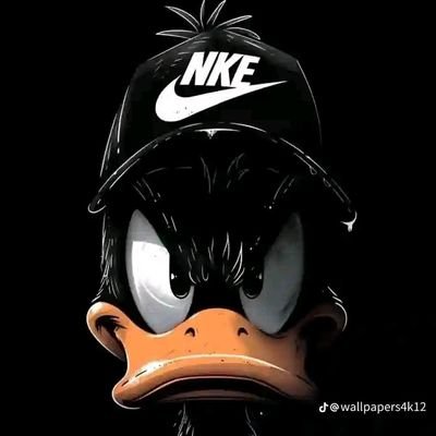 Pgrassv's profile picture. Less is more