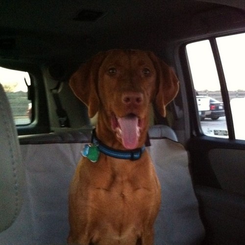 danilonzo's profile picture. 