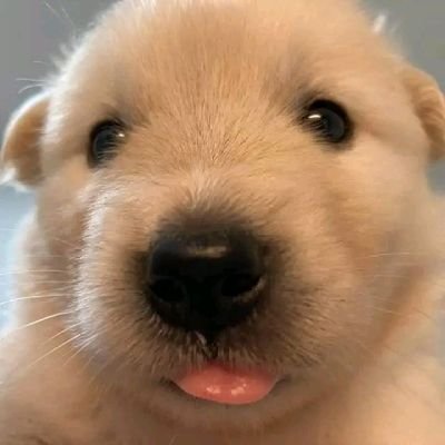 OjaswiPras73086's profile picture. Digital content creator