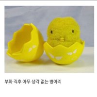 인생좆됨이 (@doo0v8) 's Twitter Profile