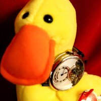 quackers (@quackers0107) 's Twitter Profile Photo quackers (@quackers0107) 's Twitter Profile Photo