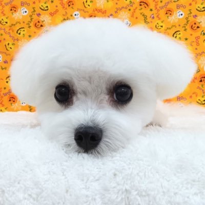 将棋好き 将棋ウォーズ3級です(24.3月昇級)。日課は将棋ウォーズ1局以上&感想戦、3手詰数ページ お笑い好き、サウナ好き、マイブームは葬送のフリーレン